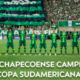 coppasud
