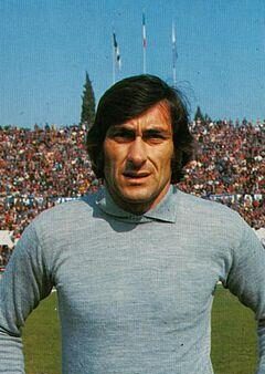Felice pulici