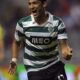 fredymontero
