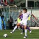 hernanes