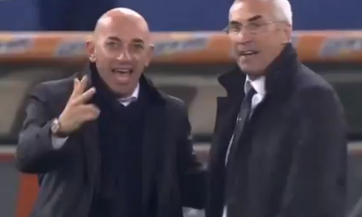 reja bollini