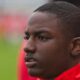 willems