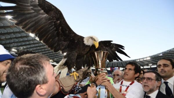 ledesma 26 maggio