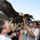 ledesma 26 maggio