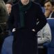 marotta tribuna sciarpa juventus gennaio 2014 ifa