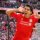 suarez ifa