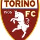torinologo